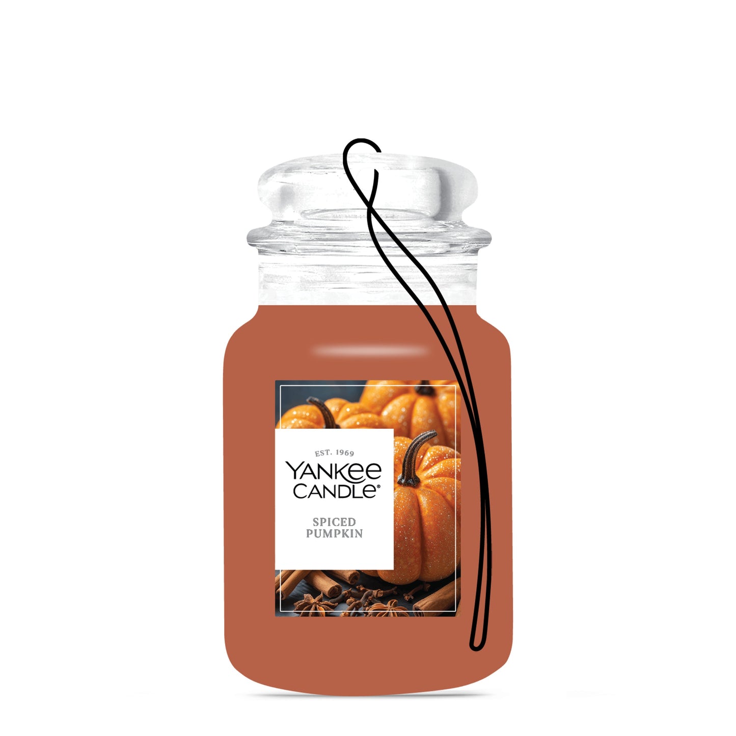 Spiced Pumpkin Daily 9-0459